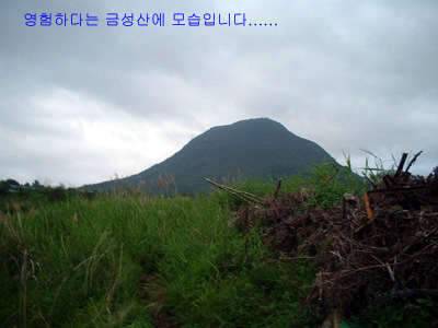 과거를 묻지마세요 (조황조행기 - 화보조행기)