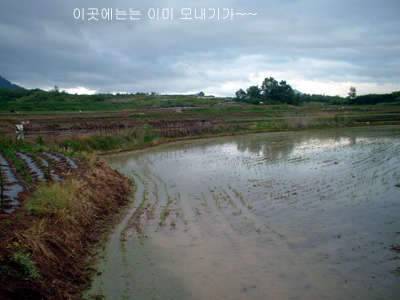 과거를 묻지마세요 (조황조행기 - 화보조행기)