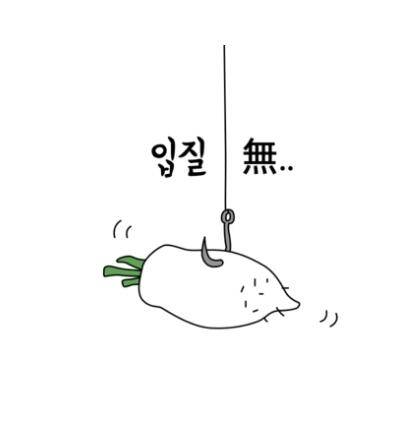 저번주에 오고 또 왔지 2116 (조황조행기 - 화보조행기)
