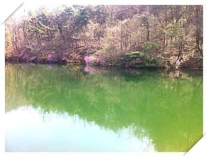 행복한바늘이의 붕어찾기2 (조황조행기 - 화보조행기)