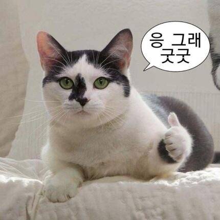 2025년 어신魚神 조우회의 6월 정기 출조폭염 (조황조행기 - 화보조행기)