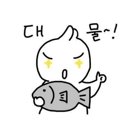 시즌 두번째 4짜 2113 (조황조행기 - 화보조행기)