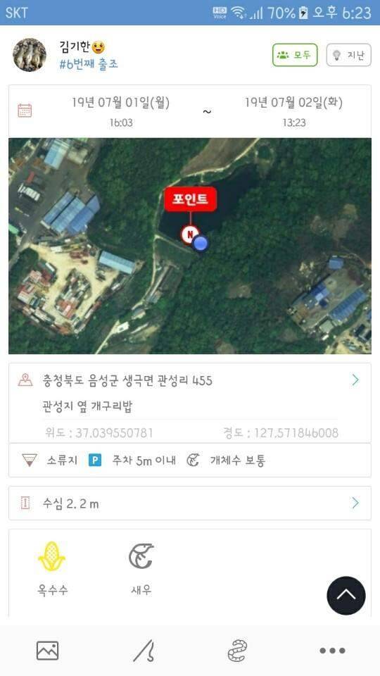 개구리 밥 속에서 만난 아가들 (조황조행기 - 화보조행기)