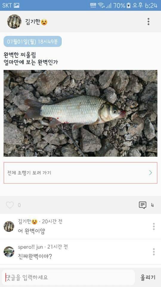 개구리 밥 속에서 만난 아가들 (조황조행기 - 화보조행기)