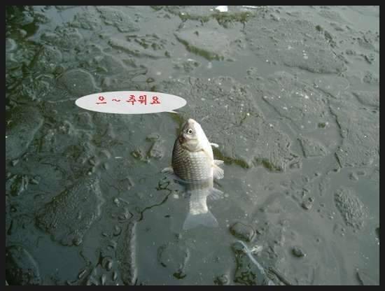 이 계절에 (조황조행기 - 화보조행기)