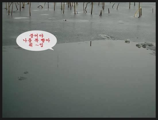 이 계절에 (조황조행기 - 화보조행기)