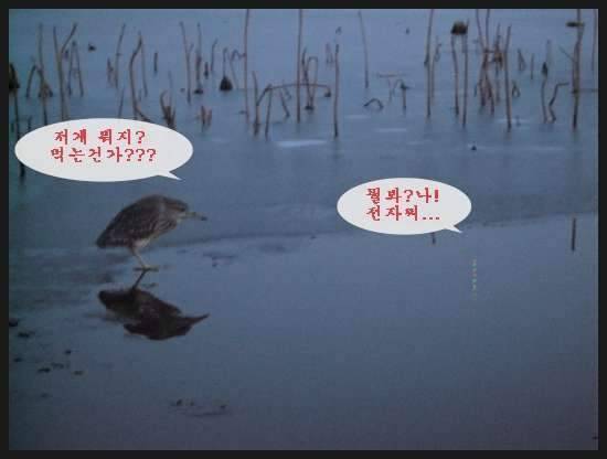 이 계절에 (조황조행기 - 화보조행기)