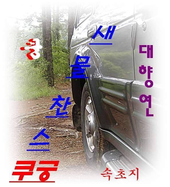 새물찬스 대향연 (조황조행기 - 화보조행기)