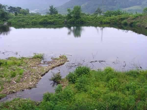답사 여행을 떠나봅니다 (조황조행기 - 화보조행기)