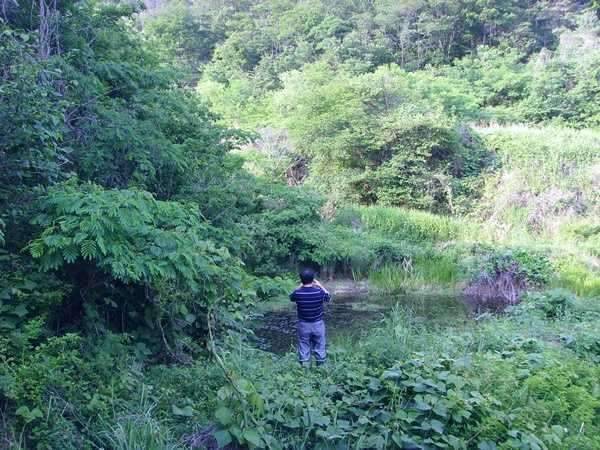답사 여행을 떠나봅니다 (조황조행기 - 화보조행기)