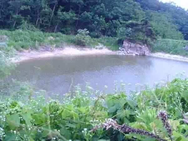 답사 여행을 떠나봅니다 (조황조행기 - 화보조행기)
