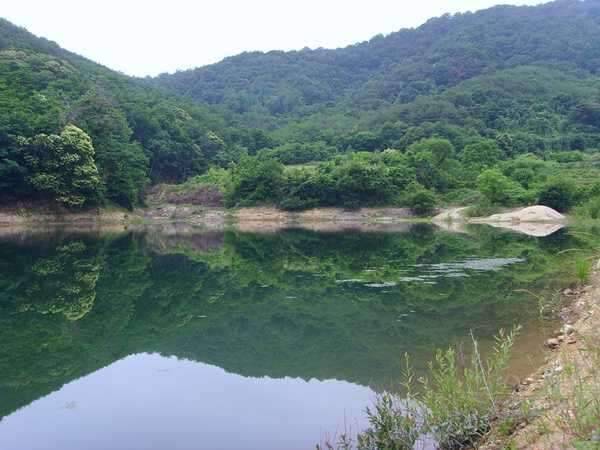 답사 여행을 떠나봅니다 (조황조행기 - 화보조행기)