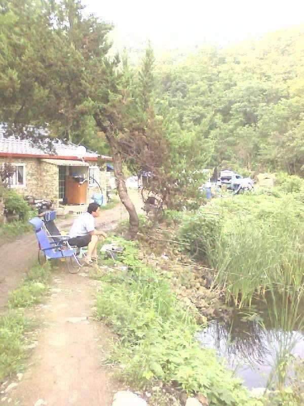 친구집앞150평정도의 둠벙에서 낚시를군위군 하곡리오하지 가기전 동네 안에 소재 (조황조행기 - 화보조행기)