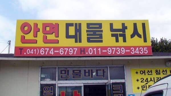 하얀비늘의 첫조행기 행복한 낚시여행 (조황조행기 - 화보조행기)