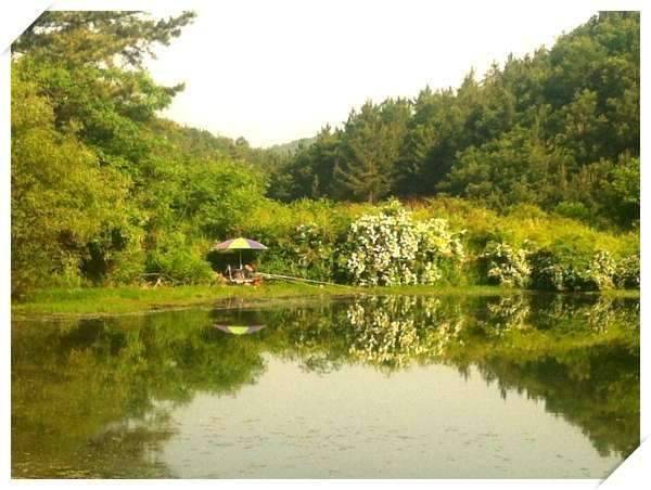 행복한바늘이의 붕어찾기2 (조황조행기 - 화보조행기)
