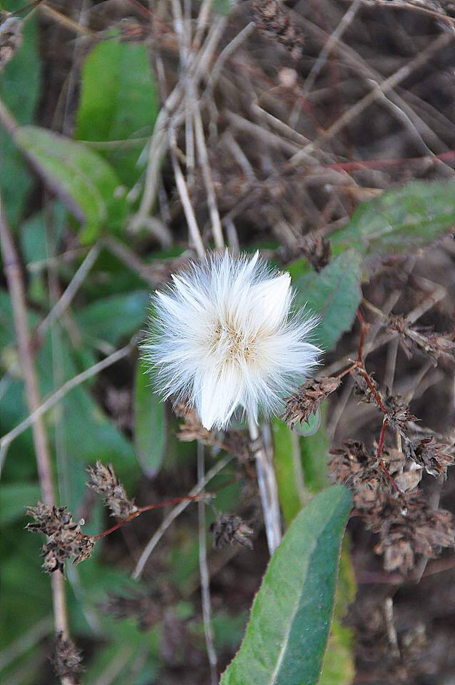 예니아빠의 낚시여행 (조황조행기 - 화보조행기)