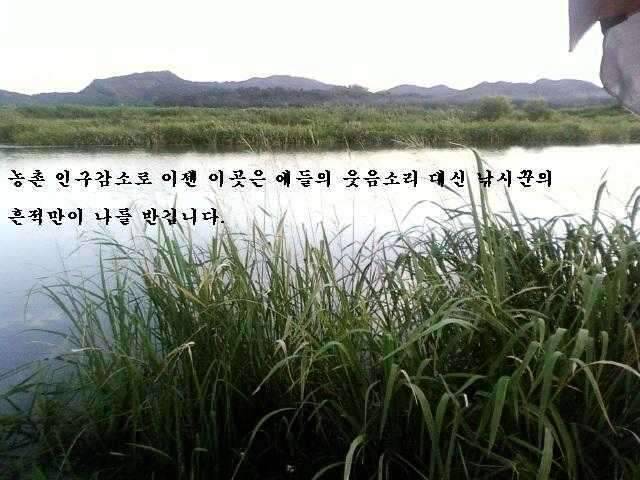 붕어가 웃는다 (조황조행기 - 화보조행기)
