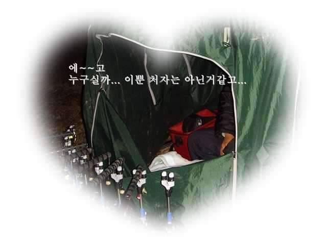청도에서 (조황조행기 - 화보조행기)