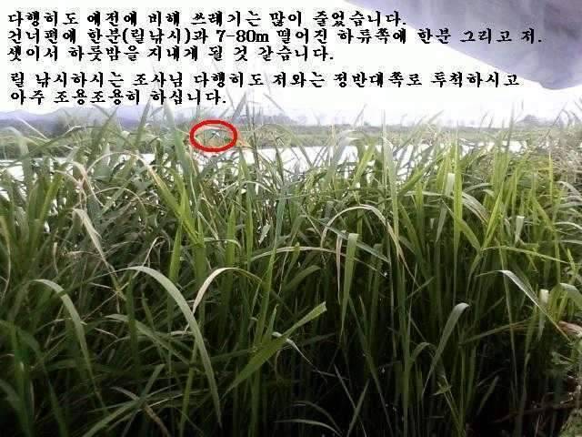 붕어가 웃는다 (조황조행기 - 화보조행기)