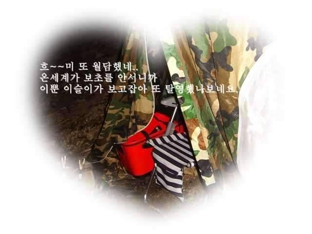 청도에서 (조황조행기 - 화보조행기)