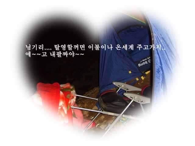 청도에서 (조황조행기 - 화보조행기)