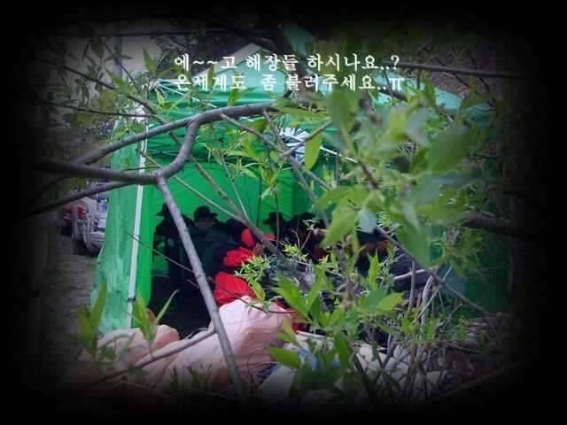 청도에서 (조황조행기 - 화보조행기)