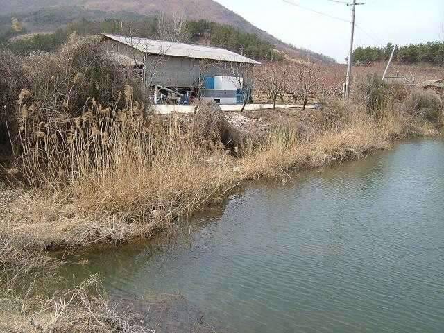 은해사 주변 휙 돌고 왔습니다 (조황조행기 - 화보조행기)