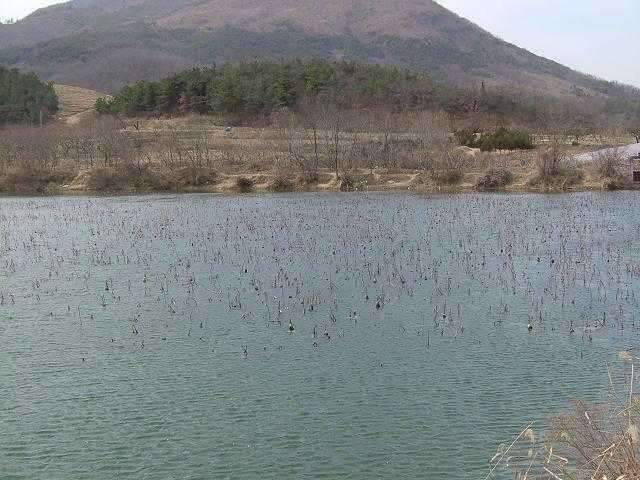 은해사 주변 휙 돌고 왔습니다 (조황조행기 - 화보조행기)