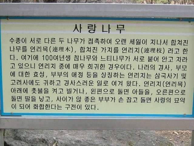 은해사 주변 휙 돌고 왔습니다 (조황조행기 - 화보조행기)