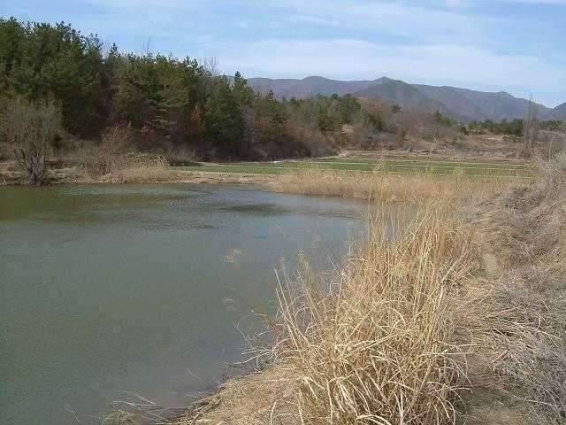 은해사 주변 휙 돌고 왔습니다 (조황조행기 - 화보조행기)