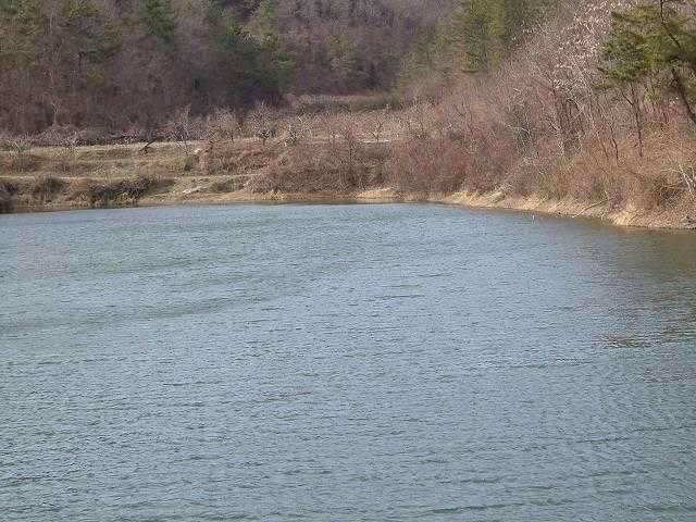은해사 주변 휙 돌고 왔습니다 (조황조행기 - 화보조행기)