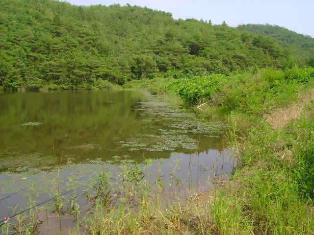 2080조우회 8월 정출덥네요 (조황조행기 - 화보조행기)