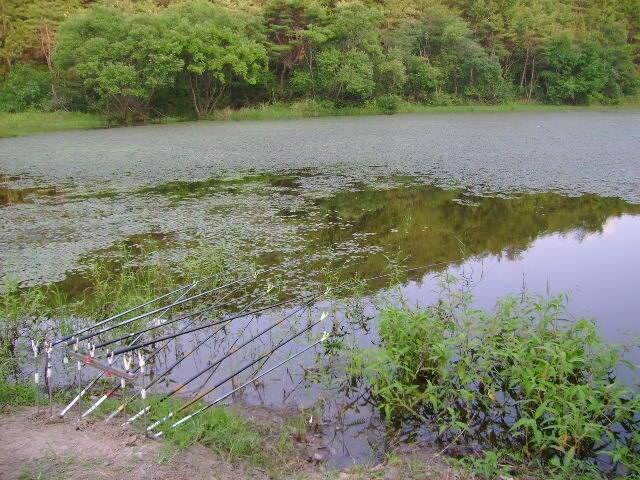 2080조우회 8월 정출덥네요 (조황조행기 - 화보조행기)