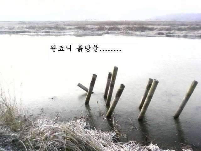 붕애의 세번째 나들이 (조황조행기 - 화보조행기)