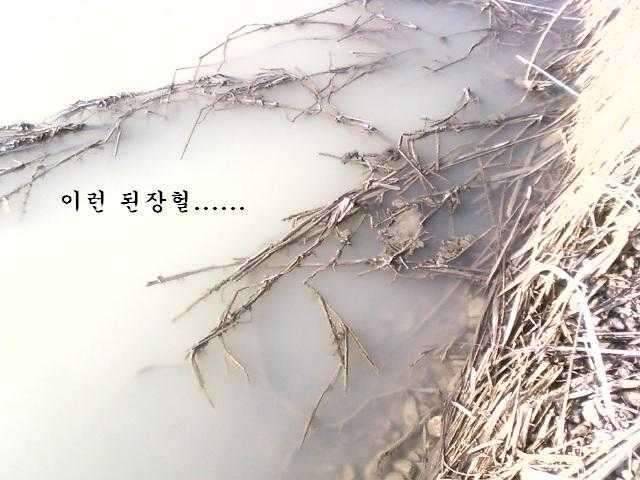 붕애의 세번째 나들이 (조황조행기 - 화보조행기)