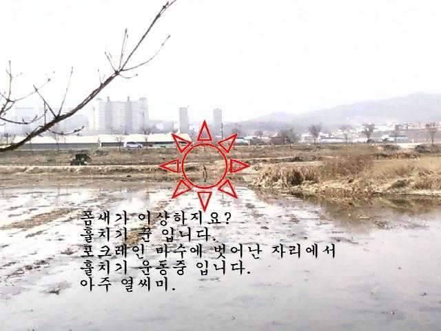 붕애의 세번째 나들이 (조황조행기 - 화보조행기)
