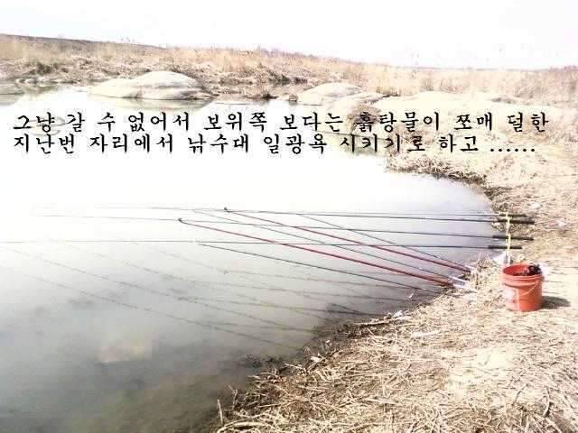 붕애의 세번째 나들이 (조황조행기 - 화보조행기)