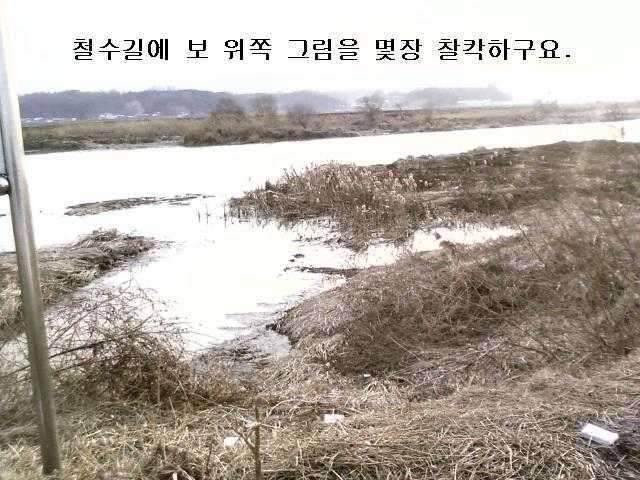 붕애의 세번째 나들이 (조황조행기 - 화보조행기)