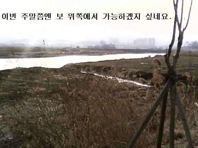 붕애의 세번째 나들이 (조황조행기 - 화보조행기)