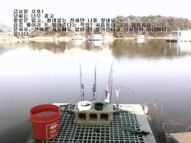 관리형 저수지에서의 하룻밤 (조황조행기 - 화보조행기)