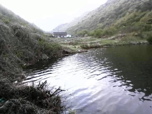 저수지물로 밥 말아 먹고싶은 저수지 (조황조행기 - 화보조행기)