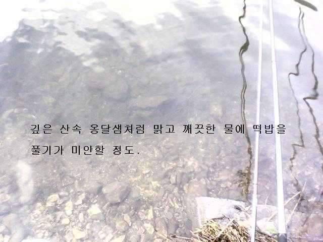 저수지물로 밥 말아 먹고싶은 저수지 (조황조행기 - 화보조행기)