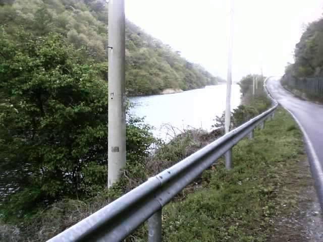 저수지물로 밥 말아 먹고싶은 저수지 (조황조행기 - 화보조행기)