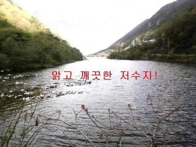 저수지물로 밥 말아 먹고싶은 저수지 (조황조행기 - 화보조행기)