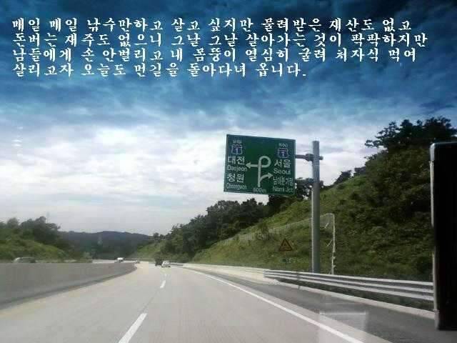 붕어가 웃는다 (조황조행기 - 화보조행기)