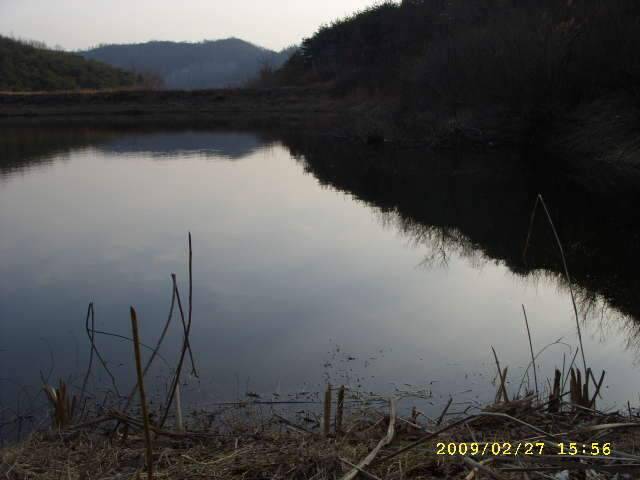 새우 한통 다 쓰는 그날까지 (조황조행기 - 화보조행기)