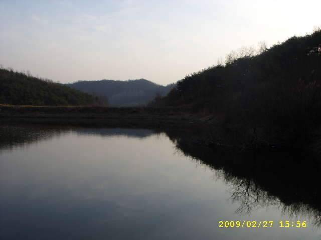 새우 한통 다 쓰는 그날까지 (조황조행기 - 화보조행기)