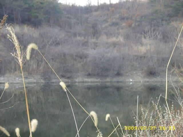 새우 한통 다 쓰는 그날까지 (조황조행기 - 화보조행기)