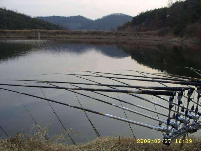 새우 한통 다 쓰는 그날까지 (조황조행기 - 화보조행기)