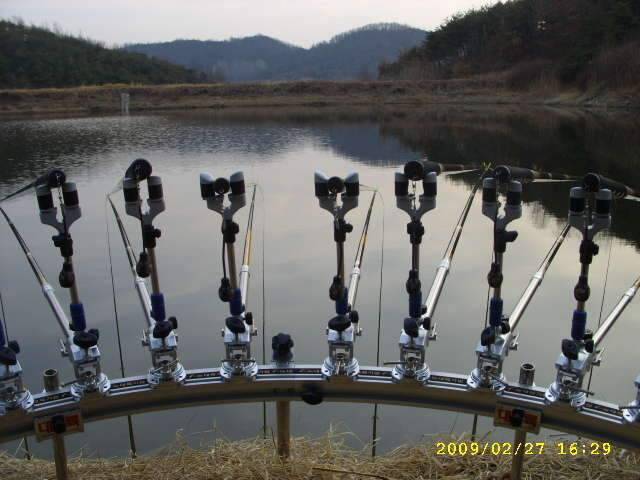 새우 한통 다 쓰는 그날까지 (조황조행기 - 화보조행기)